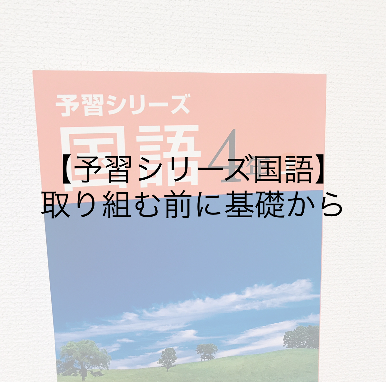 【ブログ】中学受験「四谷大塚予習シリーズ国語」難しいその読解